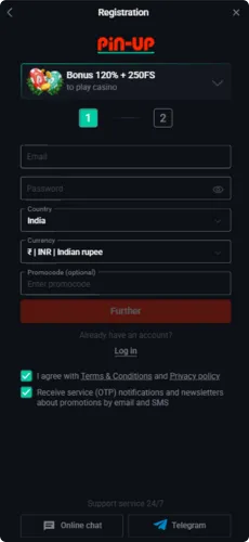 PinUp screen — Login