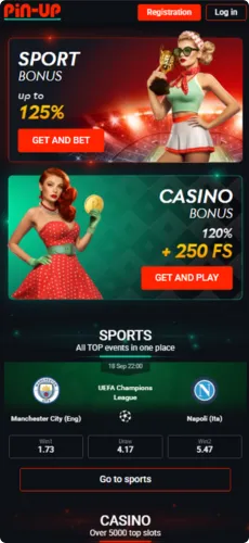 PinUp screen — Site homepage